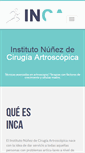 Mobile Screenshot of institutonunez.es